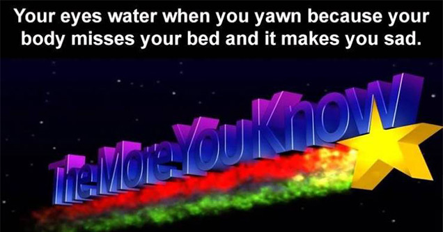 funny memes and pics | duh meme - Your eyes water when you yawn because your body misses your bed and it makes you sad. Avon Touk now